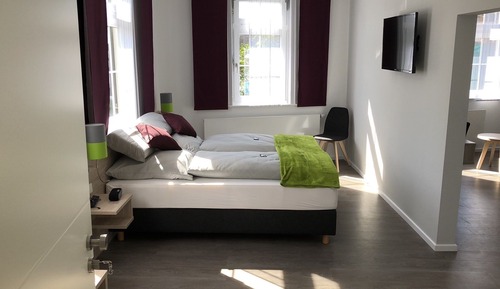 Habitación doble superior, 1 cama de matrimonio grande con sofá cama