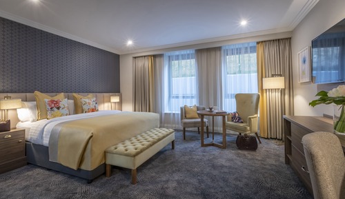 Suite (Suite with Utilities (Base Room))