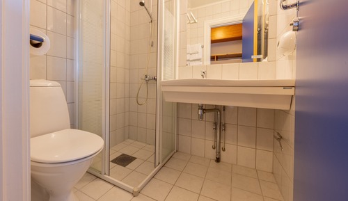 Habitación estándar doble, 1 cama de matrimonio con sofá cama, no fumadores