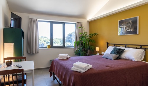 Habitación doble (25)