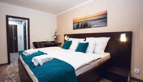 Habitación estándar con 1 cama doble o 2 individuales