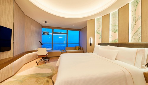 Suite ejecutiva, 1 cama de matrimonio grande, vistas al parque