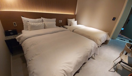 Habitación Deluxe con 2 camas individuales