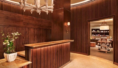 Condo (Aspen_St.Regis_2bed)