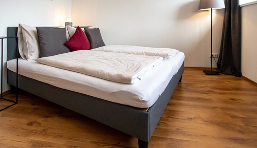 Habitación clásica doble, 1 cama de matrimonio, baño privado, vistas a la montaña
