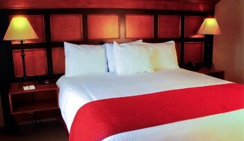 Habitación Deluxe, 1 cama de matrimonio grande (Business Suite)
