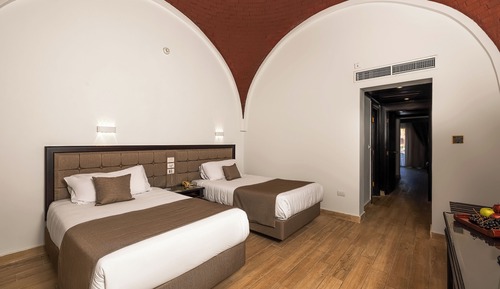 Habitación estándar, vistas al jardín