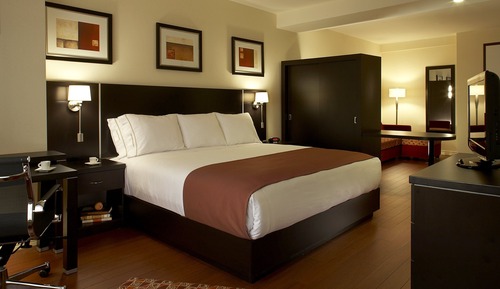 Suite, 1 cama de matrimonio grande