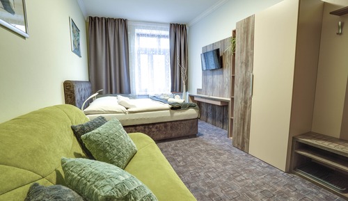 Habitación Business doble (Extra bed)