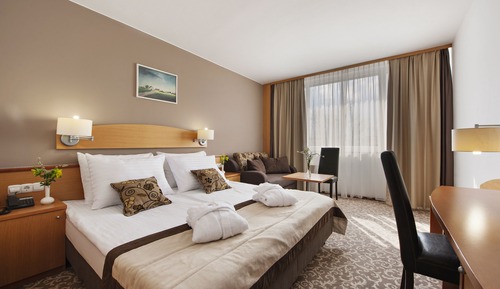 Standard Double Room with Extra bed