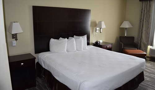 Habitación estándar, 1 cama de matrimonio grande, no fumadores, frigorífico y microondas
