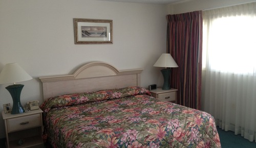 Suite Deluxe, 1 habitación