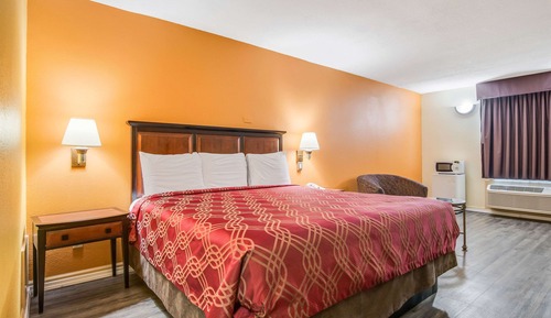 Habitación estándar, 1 cama de matrimonio grande, no fumadores, microondas