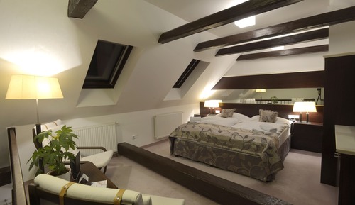 Duplex Suite with Castle View 