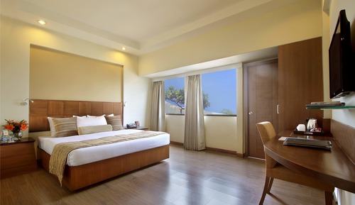 Habitación Deluxe