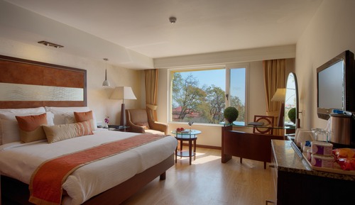 Habitación ejecutiva, 1 cama doble