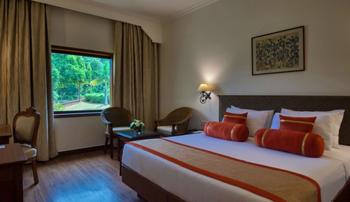Habitación Deluxe, 1 cama de matrimonio grande