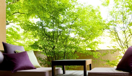 Suite, vistas a la montaña (1F, Yamaroji)