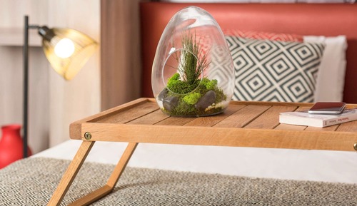 Estudio, 1 cama doble o 2 individuales
