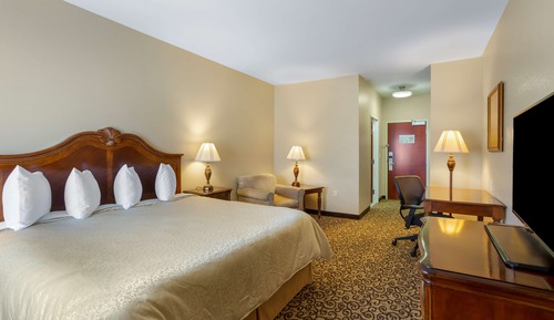 Habitación estándar, 1 cama de matrimonio grande, no fumadores