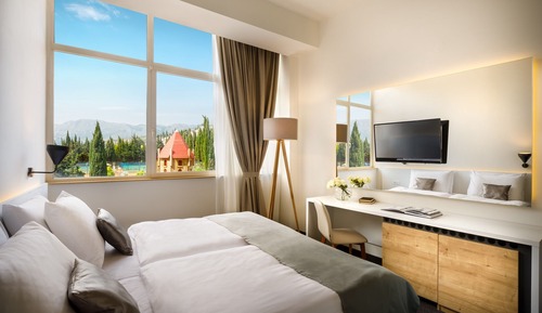 Double room with park view