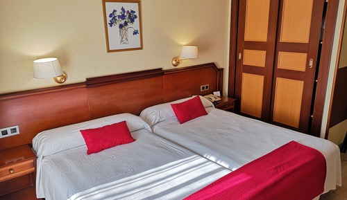 Habitación estándar con 2 camas individuales