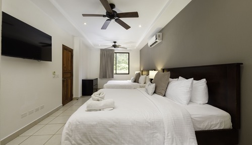 Suite, varias camas