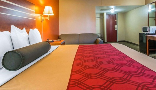 Habitación estándar, 1 cama de matrimonio grande, no fumadores