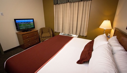 Habitación estándar, 1 cama de matrimonio grande