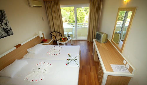 Habitación estándar doble, 1 cama doble