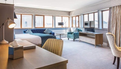 Suite estudio Premium