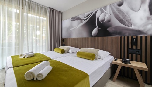 Classic Room with balcony pool side