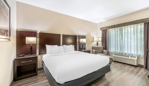 Habitación estándar, 1 cama de matrimonio grande, accesible para personas con discapacidad
