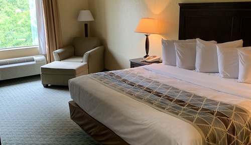 Habitación estándar, 1 cama de matrimonio grande, no fumadores