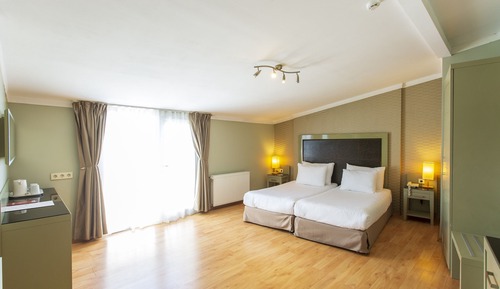 Habitación estándar con 1 cama doble o 2 individuales