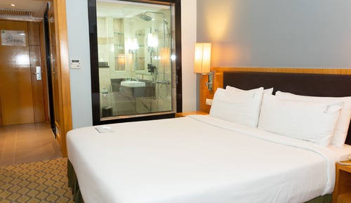 Habitación estándar, 1 cama doble (Minibar)