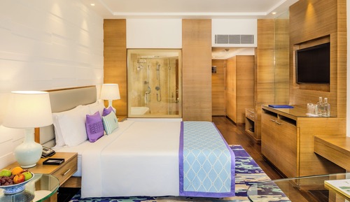 Habitación Premium, 1 cama de matrimonio, vistas a la ciudad