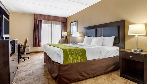 Habitación estándar, 1 cama de matrimonio grande, no fumadores