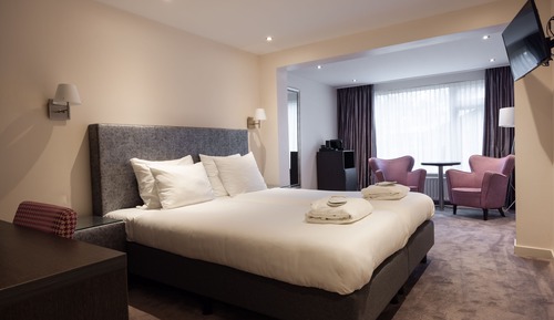 Habitación Deluxe