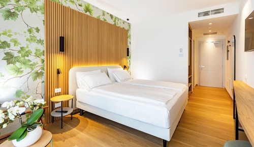 Habitación Deluxe doble, vistas al lago