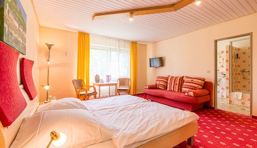 Habitación Confort doble (Plus, Sofa Bed on demand)
