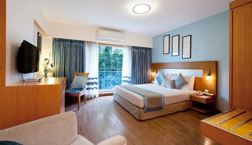 Estudio, 1 cama de matrimonio grande