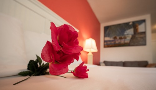 Habitación estándar, 1 cama de matrimonio grande