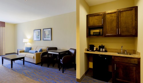 Suite, varias camas (Additional Living Area)