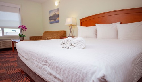 Habitación individual estándar, 1 cama de matrimonio grande con sofá cama