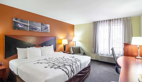 Habitación estándar, 1 cama de matrimonio grande, no fumadores