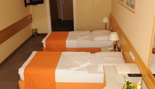 Habitación estándar con 1 cama doble o 2 individuales