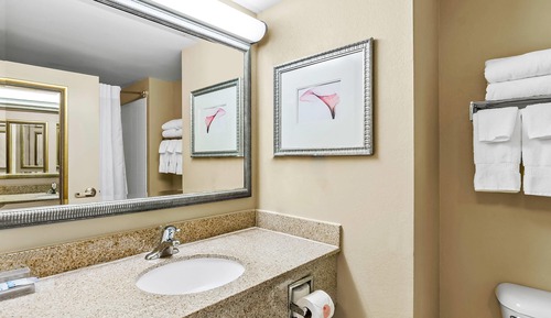Suite, 1 habitación, no fumadores