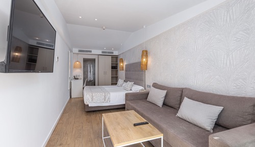 Adults Only Junior Suite (+18 years)