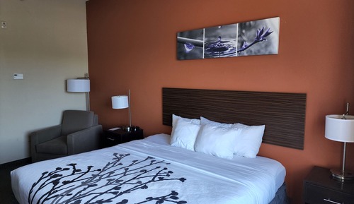 Habitación estándar, 1 cama de matrimonio grande, no fumadores
